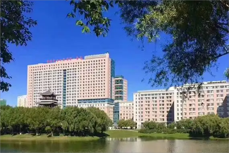 1739865127622(1)(1).png